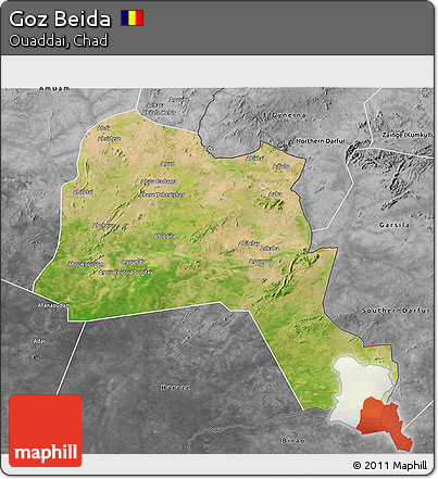 Satellite 3D Map of Goz Beida, desaturated