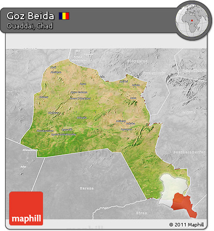 Satellite 3D Map of Goz Beida, lighten, desaturated