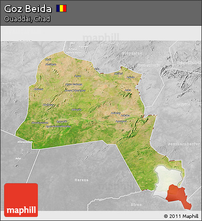 Satellite 3D Map of Goz Beida, lighten, desaturated