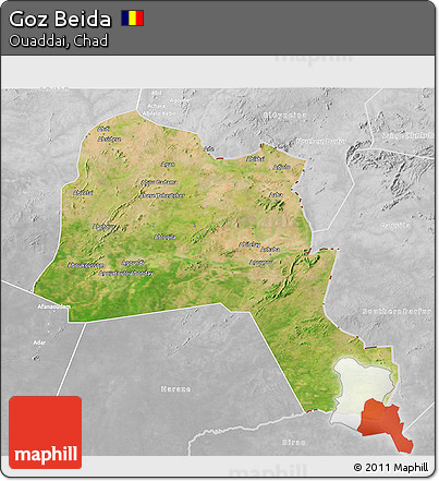Satellite 3D Map of Goz Beida, lighten, desaturated