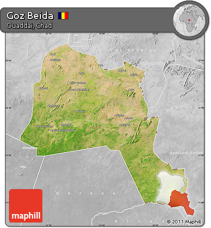 Satellite Map of Goz Beida, lighten, desaturated