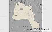 Shaded Relief Map of Goz Beida, darken, desaturated