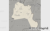 Shaded Relief Map of Goz Beida, darken, semi-desaturated