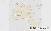 Shaded Relief Map of Goz Beida, lighten, desaturated