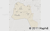 Shaded Relief Map of Goz Beida, lighten, semi-desaturated