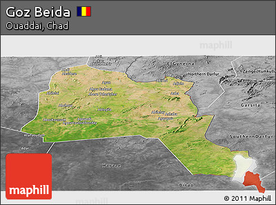 Satellite Panoramic Map of Goz Beida, desaturated