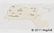 Shaded Relief Panoramic Map of Goz Beida, lighten, semi-desaturated