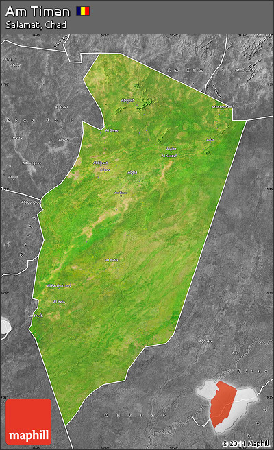Satellite Map of Am Timan, desaturated