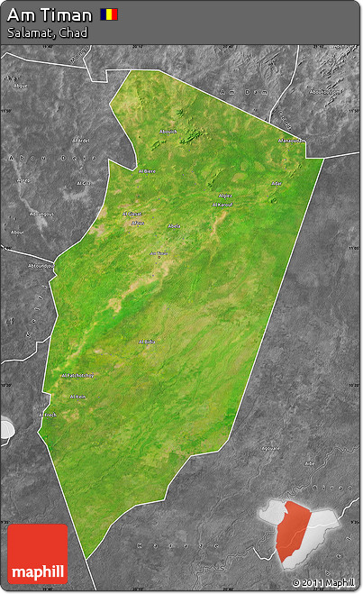 Satellite Map of Am Timan, desaturated