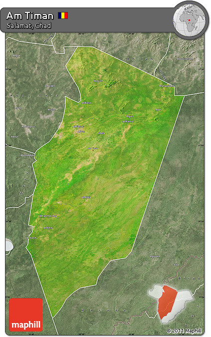 Satellite Map of Am Timan, semi-desaturated
