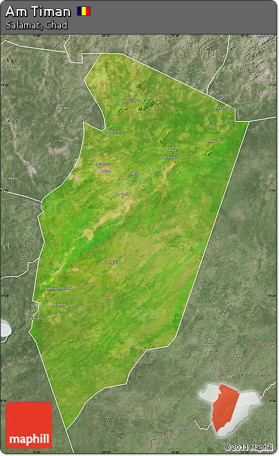Satellite Map of Am Timan, semi-desaturated