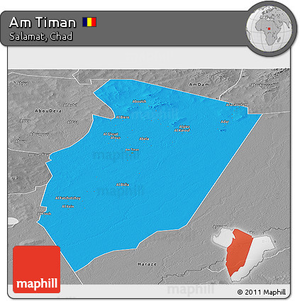 Political Panoramic Map of Am Timan, desaturated