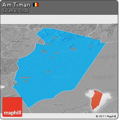 Political Panoramic Map of Am Timan, desaturated