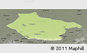 Physical Panoramic Map of Lai, darken, semi-desaturated