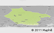 Physical Panoramic Map of Lai, desaturated