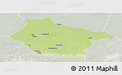 Physical Panoramic Map of Lai, lighten, semi-desaturated