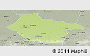 Physical Panoramic Map of Lai, semi-desaturated