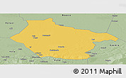 Savanna Style Panoramic Map of Lai