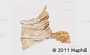 Satellite 3D Map of ARICA, cropped outside