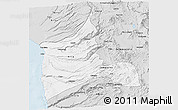 Silver Style 3D Map of ARICA