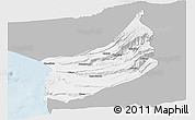 Gray Panoramic Map of Arica, single color outside