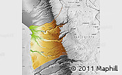 Physical Map of ARICA, desaturated