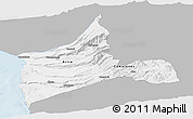 Gray Panoramic Map of ARICA, single color outside