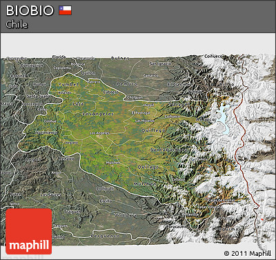 Satellite 3D Map of BIOBIO, semi-desaturated