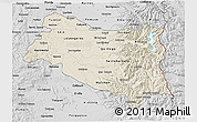 Shaded Relief 3D Map of BIOBIO, desaturated