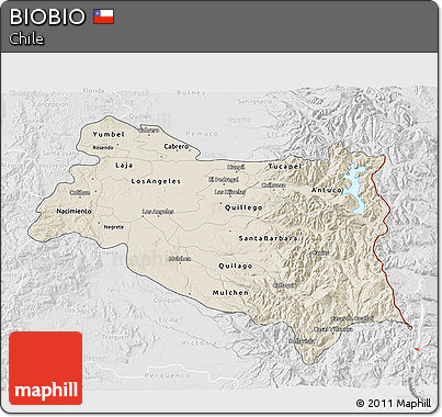 Shaded Relief 3D Map of BIOBIO, lighten, desaturated