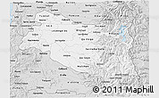 Silver Style 3D Map of BIOBIO