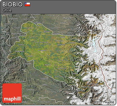 Satellite Map of BIOBIO, semi-desaturated