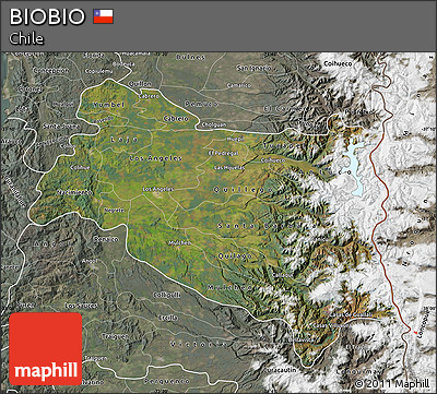 Satellite Map of BIOBIO, semi-desaturated
