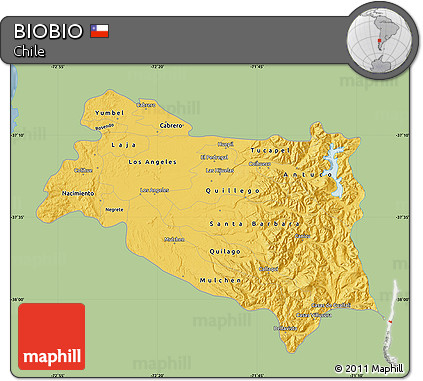 Savanna Style Map of BIOBIO, single color outside