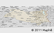 Shaded Relief Panoramic Map of BIOBIO, desaturated