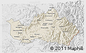 Shaded Relief 3D Map of CACHAPOAL, lighten, desaturated
