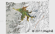 Satellite 3D Map of Machali, lighten, semi-desaturated
