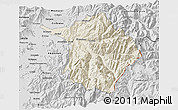 Shaded Relief 3D Map of Machali, desaturated