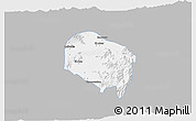 Gray 3D Map of Requinao, single color outside