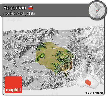 Satellite 3D Map of Requinao, lighten, desaturated