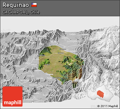 Satellite 3D Map of Requinao, lighten, desaturated