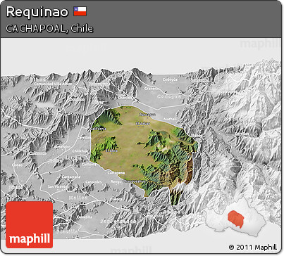 Satellite 3D Map of Requinao, lighten, desaturated