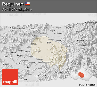 Shaded Relief 3D Map of Requinao, desaturated