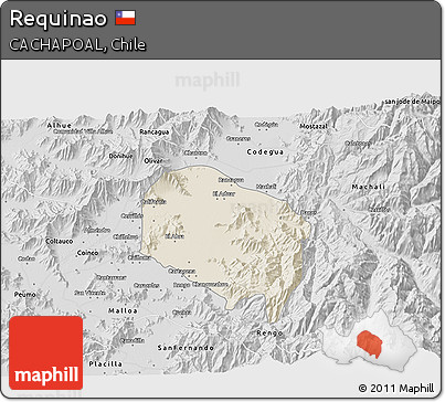 Shaded Relief 3D Map of Requinao, desaturated