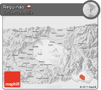 Silver Style 3D Map of Requinao