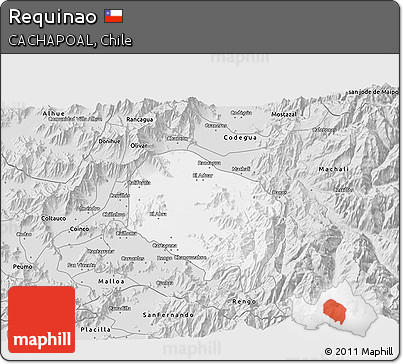 Silver Style 3D Map of Requinao