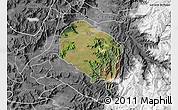 Satellite Map of Requinao, desaturated