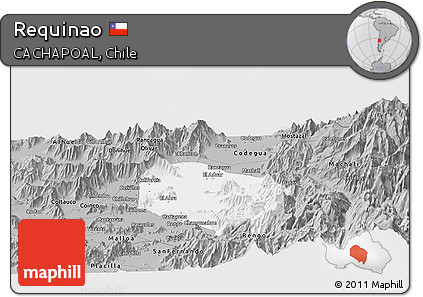Gray Panoramic Map of Requinao