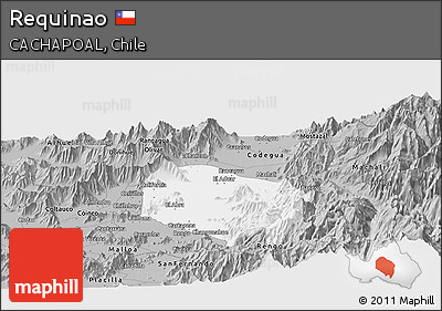 Gray Panoramic Map of Requinao