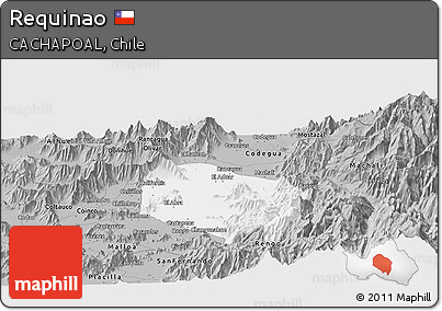 Gray Panoramic Map of Requinao